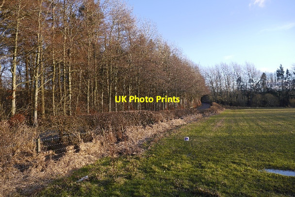 Photo 6"x4" Flood debris, Riddell Riddell c2016