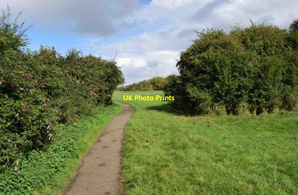 Photo 6"x4" Willow Meadows, Carterton, Oxon Carterton\/SP2806 c2016