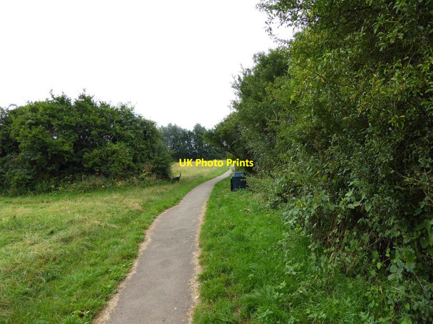 Photo 6"x4" Willow Meadows, Carterton, Oxon Carterton\/SP2806 c2016