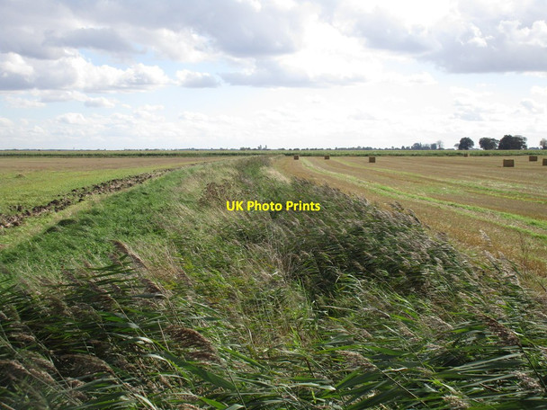 Photo 6"x4" Reed filled drain, Dunston Fen Southrey c2016