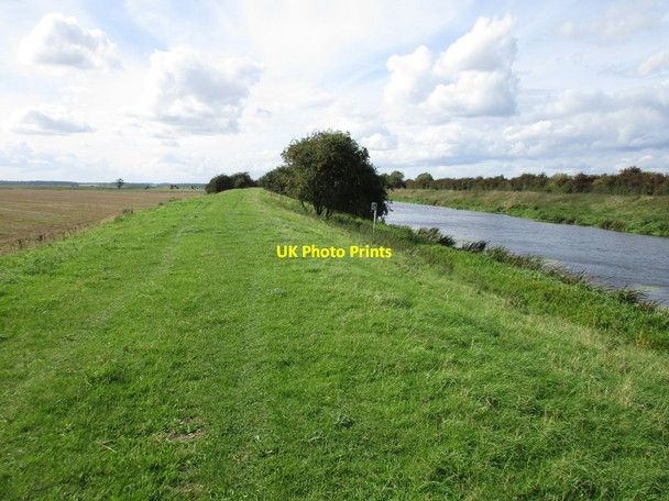 Photo 6"x4" The river bank, Dunston Washway Southrey c2016