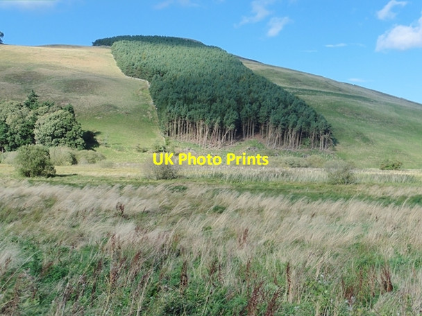 Photo 6"x4" Hillside above Linton Loch Morebattle c2016