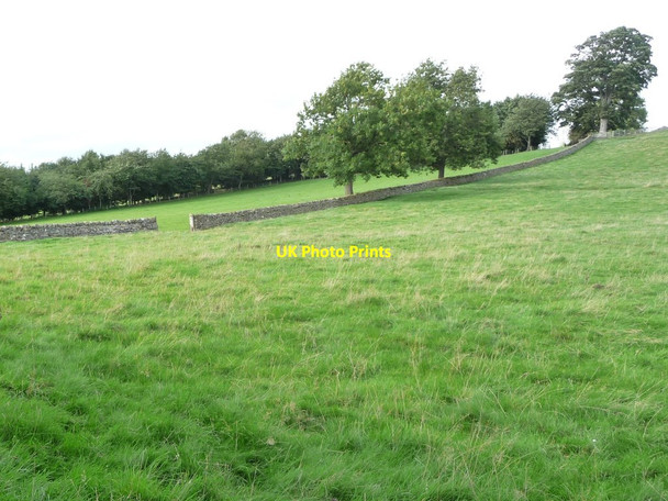 Photo 6"x4" Field boundary below [south-west of] Howe Hills Harmby c2016
