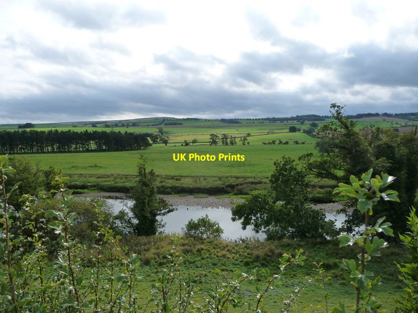 Photo 6"x4" The River Ure, near the Wisings Wensley\/SE0989 c2016