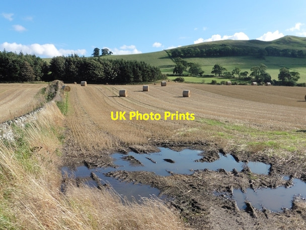 Photo 6"x4" Harvested field with bales below Crookedshaws Hill Morebattle c2016