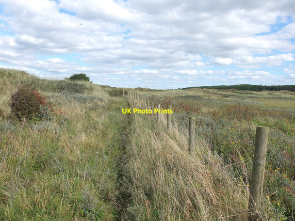 Photo 6"x4" Path in the Ainsdale Dunes Ainsdale-on-Sea c2016