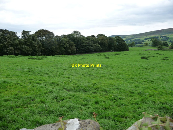 Photo 6"x4" Woodland south-west of Brecongill Stables Agglethorpe c2016