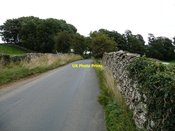 Photo 6"x4" The road to Middleham Low Moor Agglethorpe c2016