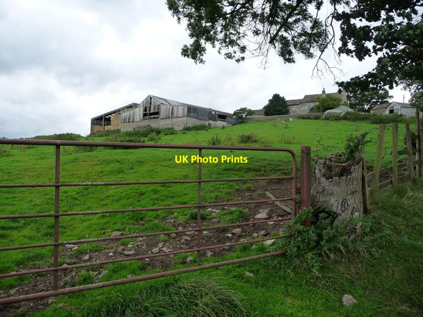 Photo 6"x4" Low Gill Farm, Agglethorpe Agglethorpe c2016