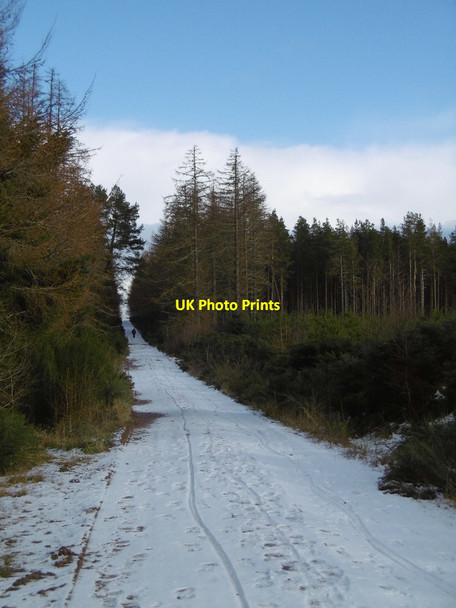 Photo 6"x4" Military Road, Mount Eagle Braefindon c2016
