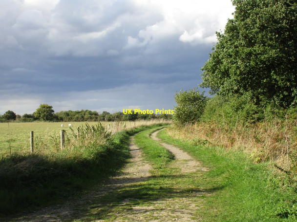 Photo 6"x4" Footpath alongside Potterhanworth Wood Potterhanworth c2016