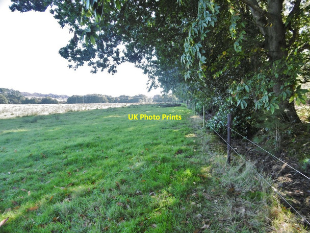 Photo 6"x4" Rempstone, footpath Bushey\/SY9883 c2016