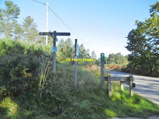Photo 6"x4" Rempstone, signpost Bushey\/SY9883 c2016