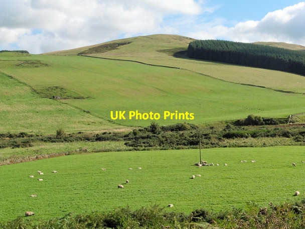 Photo 6"x4" View across the valley of the Bowmont Water Mowhaugh c2016 P1