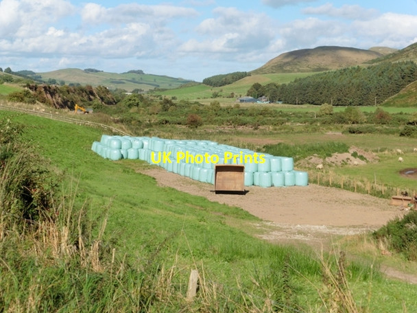 Photo 6"x4" Bales in the valley of the Bowmont Water Mowhaugh c2016