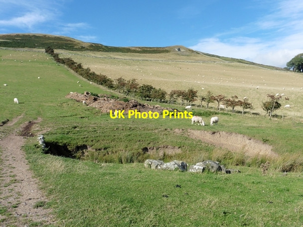 Photo 6"x4" The slopes of Crookedshaws Hill Morebattle c2016