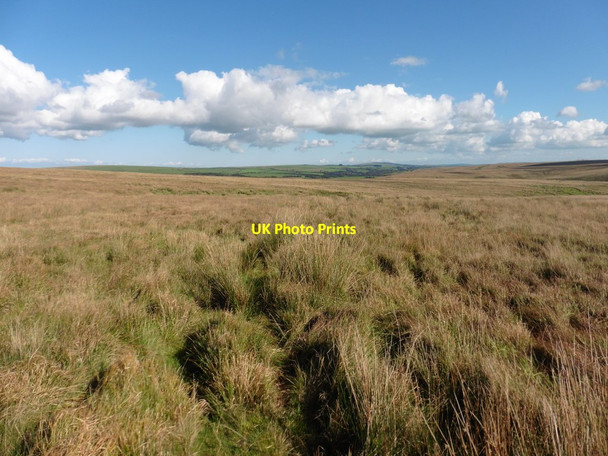 Photo 6"x4" Moorland above Squallacombe Challacombe\/SS6940 c2016