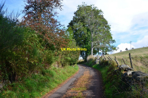 Photo 6"x4" Private Road above Dunkeld Dunkeld c2016