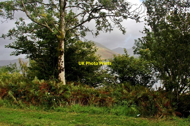 Photo 6"x4" A glimpse of the hills across Loch Fyne Cairndow c2016