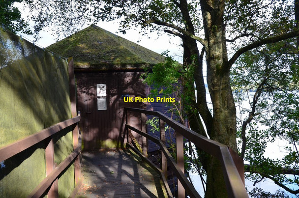 Photo 6"x4" The Crannog Hide, Loch of the Lowes Birnam c2016