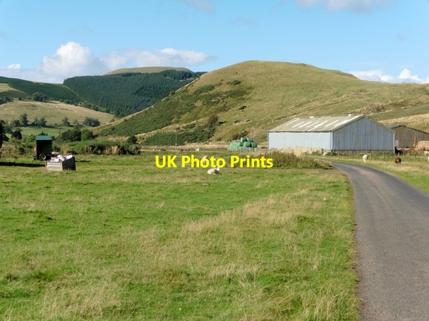 Photo 6"x4" Upper Bowmont valley Mowhaugh c2016