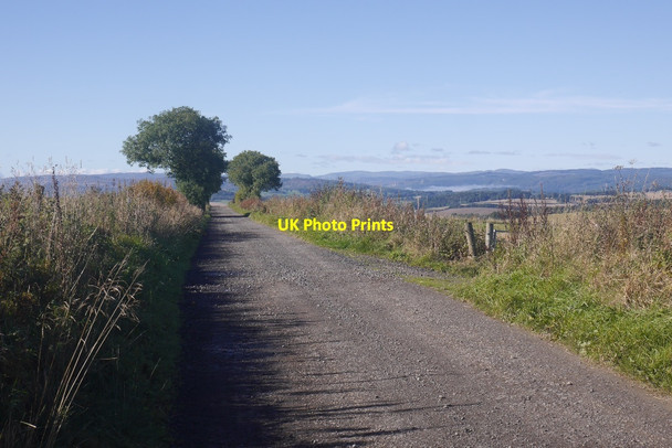 Photo 6"x4" Road to East Gormack Blairgowrie c2016