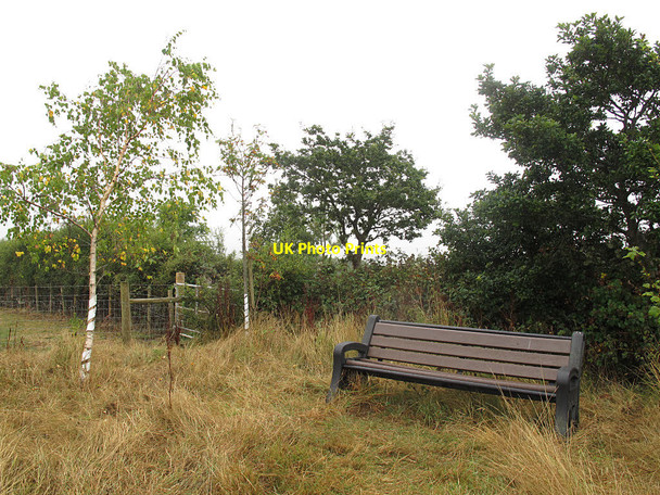 Photo 6"x4" Bench near a footpath Bridfordmills c2016