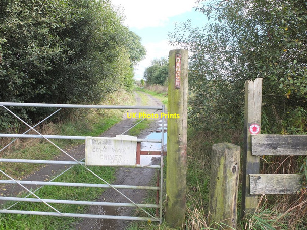 Photo 6"x4" Footpath at the end of Park Lane, Abram Abram c2016