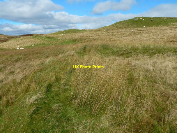 Photo 6"x4" Old field boundary Overton\/NS2674 c2016