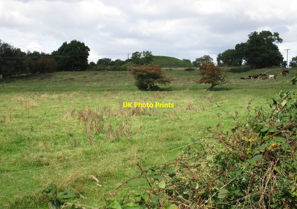 Photo 6"x4" Grass field and the Motte, Brinklow Brinklow\/SP4379 c2016