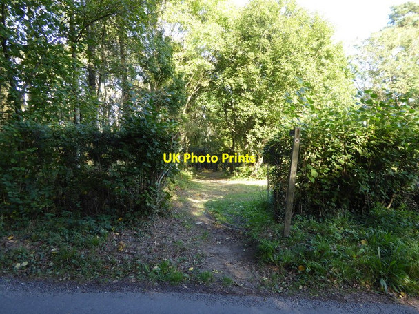 Photo 6"x4" Looking east from Brantbridge Lane at footpath crossing Staplefield c2016