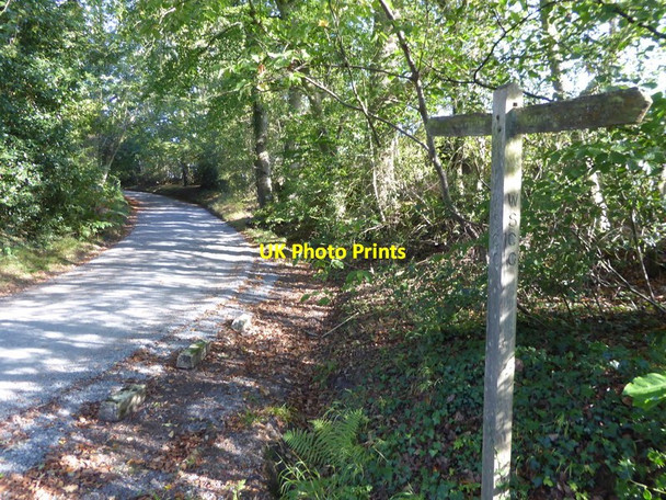 Photo 6"x4" Footpath signpost at bend on Whitethroat Lane Staplefield c2016