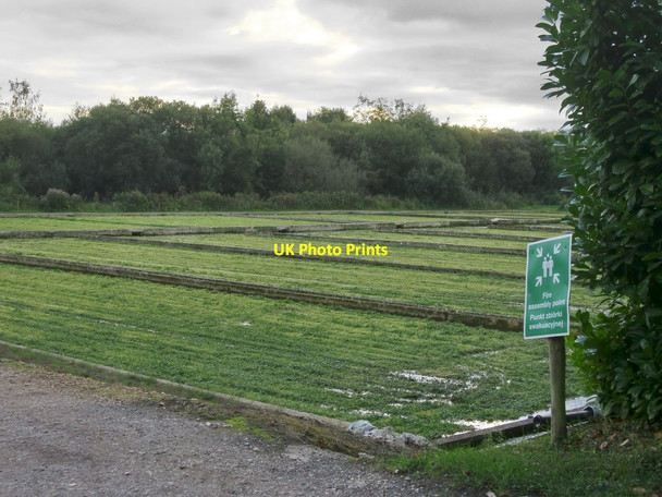 Photo 6"x4" Watercress beds, Old Alresford New Alresford c2016