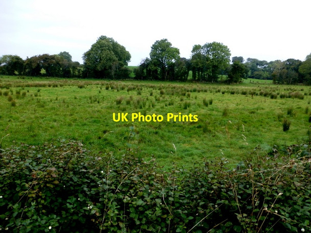 Photo 6"x4" Rushy ground, Botera Lower Omagh c2016