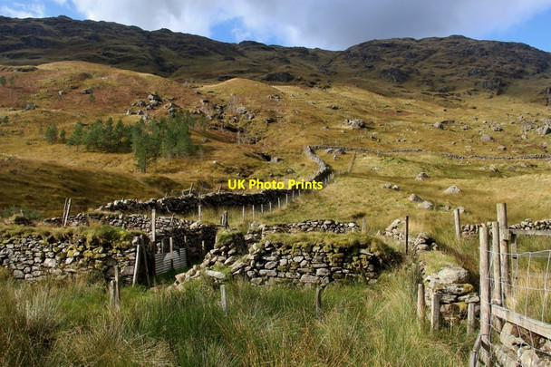 Photo 6"x4" Sheepfold and field dyke in Glen Kinglas Beinn Chorranach c2016