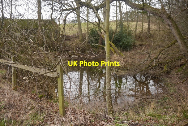 Photo 6"x4" Pond, Lochside Town Yetholm c2016