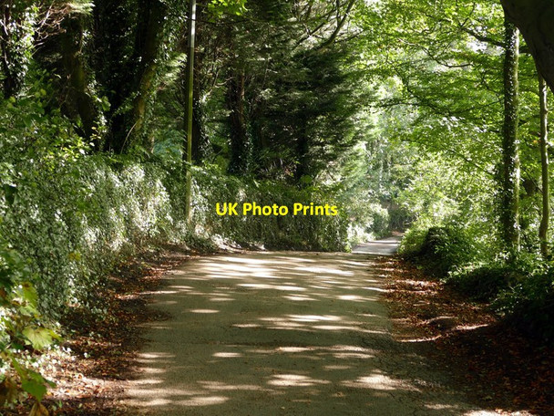 Photo 6"x4" Chapel Hill Skipton c2016