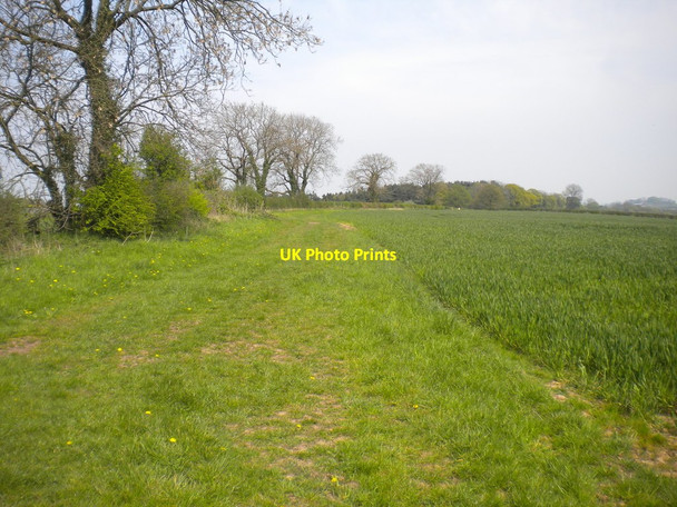 Photo 6"x4" Robin Hood Way north of Robin Hood Hill (1) Farnsfield c2016