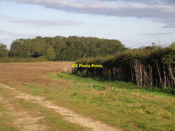 Photo 6"x4" View towards Fox Covert North Greetwell c2016