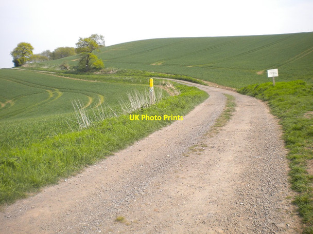 Photo 6"x4" Farm track on Loath Hill Oxton\/SK6351 c2016