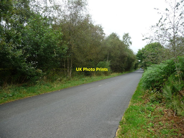 Photo 6"x4" Wirestone Lane [1] Uppertown\/SK3264 c2016