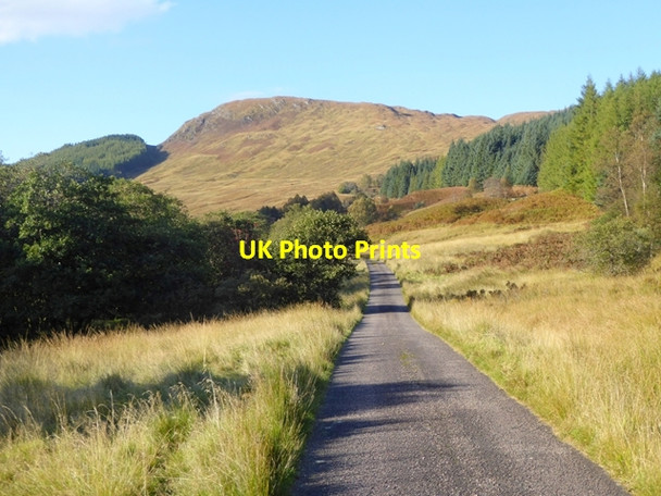 Photo 6"x4" The road up Glen Loy. River Loy c2016