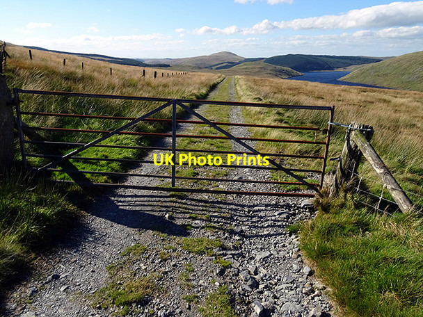 Photo 6"x4" Gate on the water board track Bryn y Beddau c2016