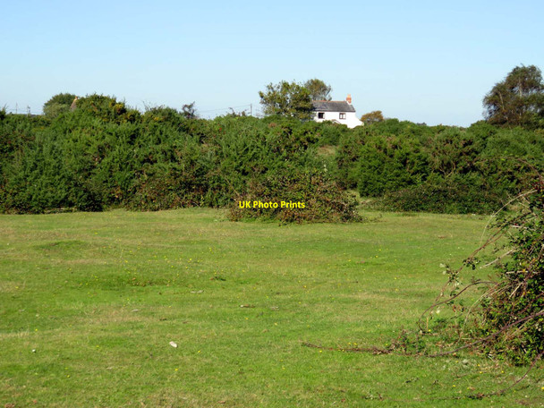 Photo 6"x4" Heath near Bull Hill Lymington c2016