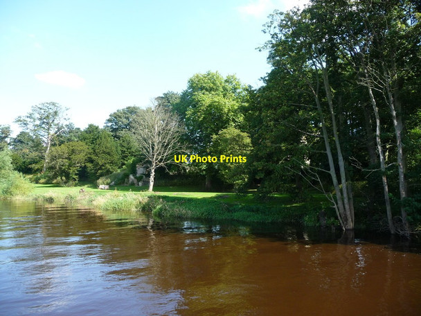 Photo 6"x4" East bank, River Ouse, at Moreby Hall Naburn c2016