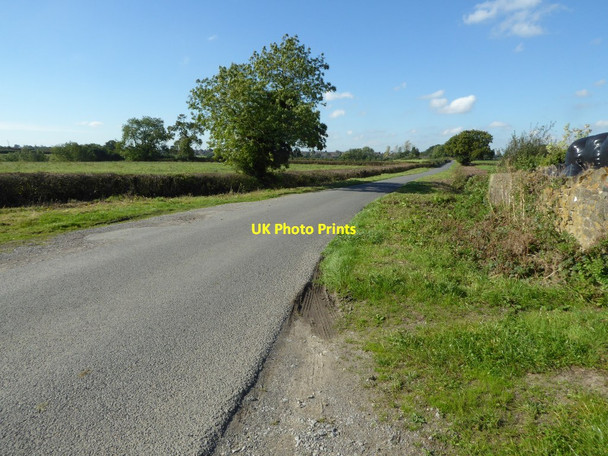 Photo 6"x4" Chase Lane Chase Hill c2016