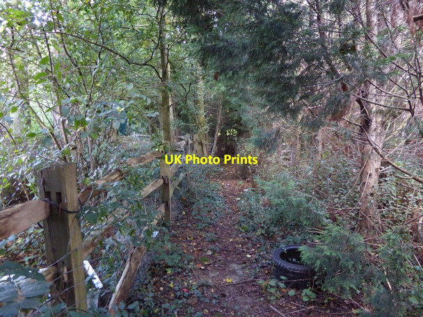 Photo 6"x4" Footpath at Shovelstrode Farm Ashurst Wood\/TQ4136 c2016