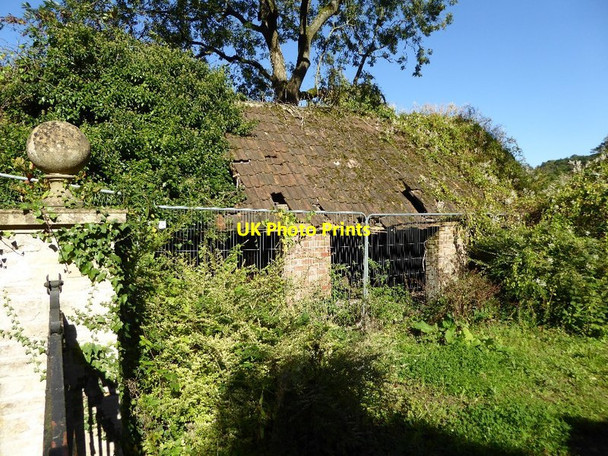 Photo 6"x4" Derelict shed at Norton Court Horton\/ST7684 c2016