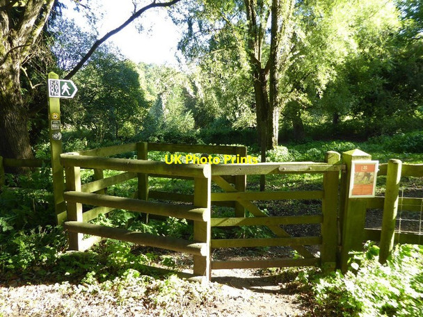 Photo 6"x4" Kissing gate at Norton Horton\/ST7684 c2016