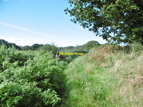 Photo 6"x4" Wareham, footpath Wareham c2016